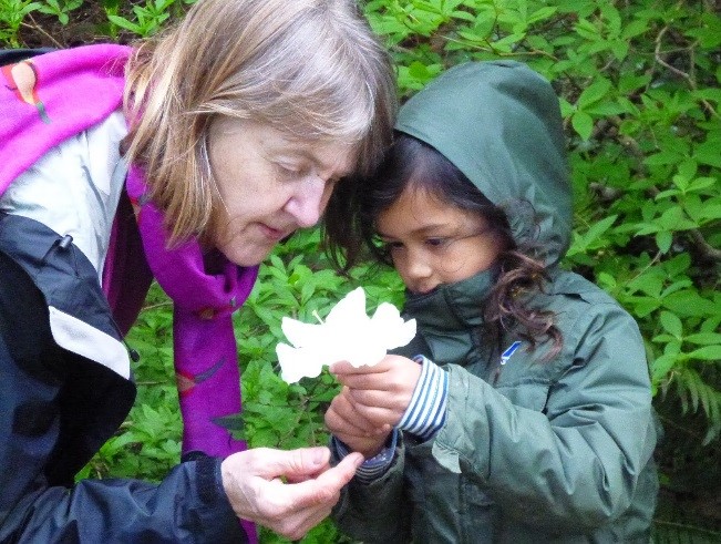 Fiddleheads Forest School