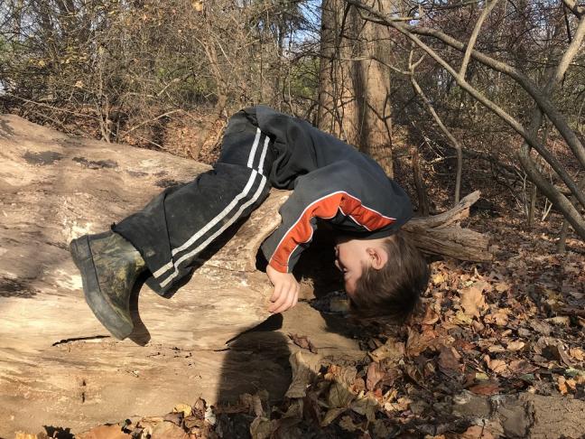 Photo credit: Shannon Earle/Audubon Nature Preschool