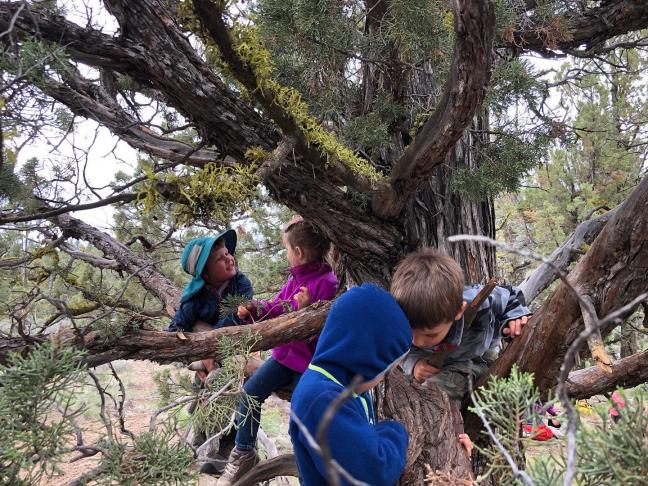 Photo credit: Bend Forest School Is it the alt text?