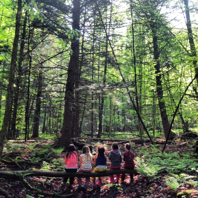 Photo credit: North Branch Nature Center