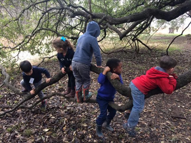 Photo by: Cibolo Nature School