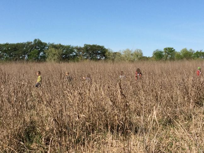 Photo by: Cibolo Nature School