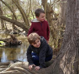 Photo by: Cibolo Nature School
