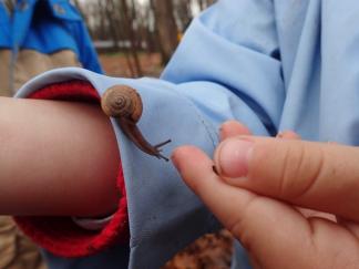 Photo by: Cincinnati Nature Center Preschool