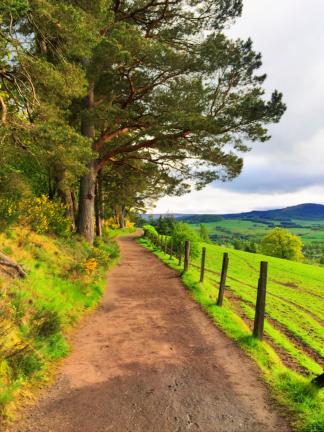 Photo by Rachel Larimore Scottish countryside.