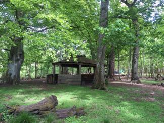 Photo by Rachel Larimore Auchlone Nature Kindergarten fire circle