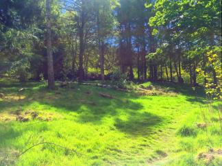 Photo by Rachel Larimore A hill in “Stickland” where the Cowgate students can visit regularly.
