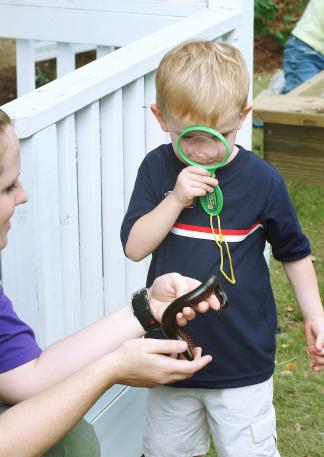 San Antonio Zoo Investigating a millipede.