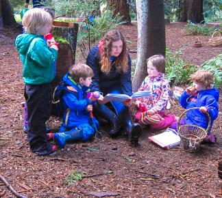 Fiddleheads Forest School