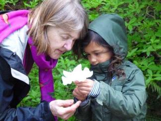 Fiddleheads Forest School