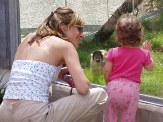 San Antonio Zoo Watching monkeys enjoy the treats we made.
