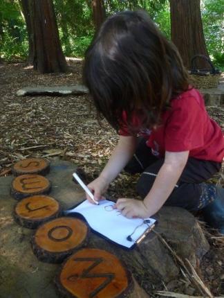 Fiddleheads Forest School