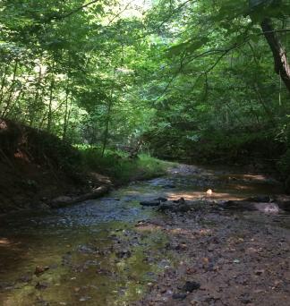 Natural Start Alliance Along the trail at Elachee Nature Science Center