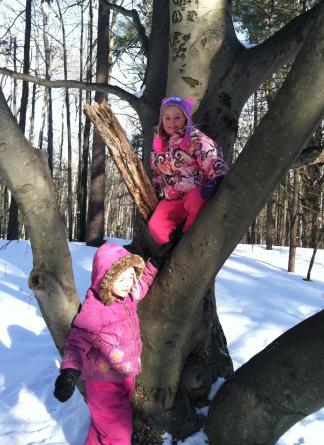Photo by Tina Pretzer Often children have a short free play time in the woods at the end of their class hike.