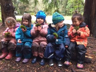 Fiddleheads Forest School