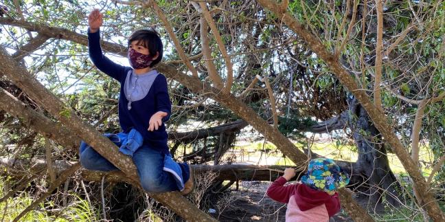 Photo by: Berkeley Forest School