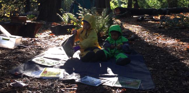 Fiddleheads Forest School