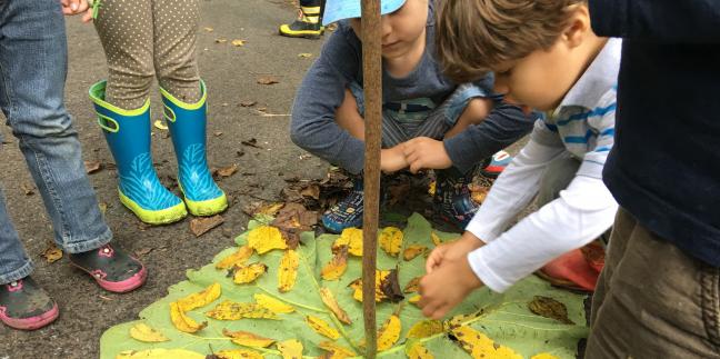 Photo from The Nature Preschool at Irvine Nature Center
